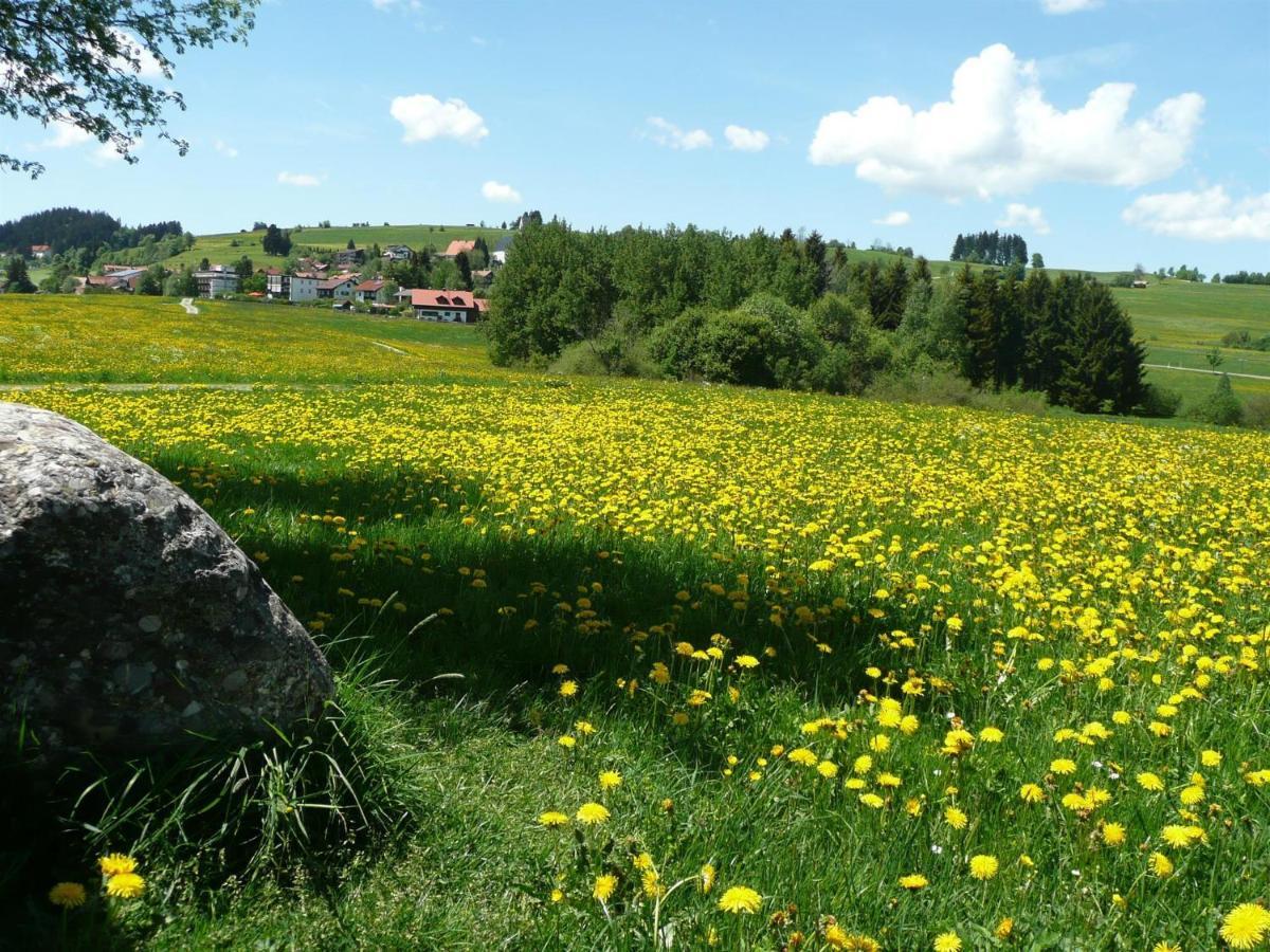 Bergkiefer - Ferienwohnung Oy-Mittelberg Zewnętrze zdjęcie